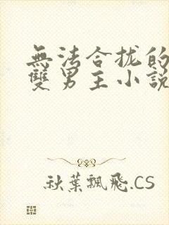 无法合拢的总裁双男主小说