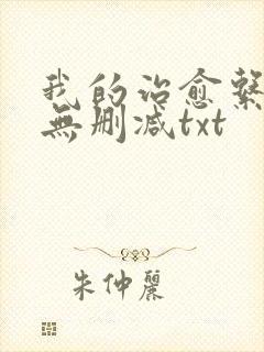 我的治愈系游戏无删减txt