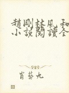 赵刚林风和苏柔小说阅读全文