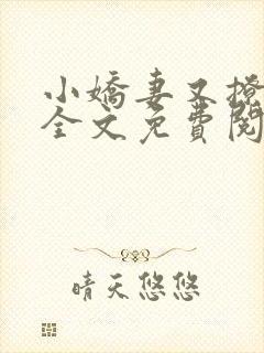 小娇妻又撩又甜全文免费阅读