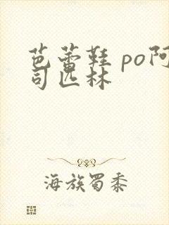 芭蕾鞋 po阿司匹林封面