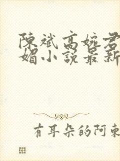 陈斌高婉君赵心媚小说最新章节封面