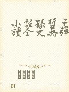 小说孙哲免费阅读全文无弹窗