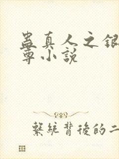 蛊真人之银邪魔尊小说