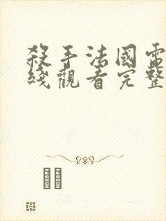 杀手法国电影在线观看完整版免费视频高清