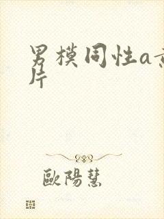 男模同性a黄色片