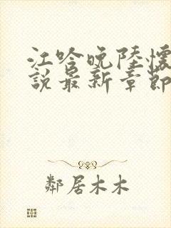 江吟晚陆怀璟小说最新章节更新时间