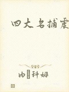 四大名捕震关东