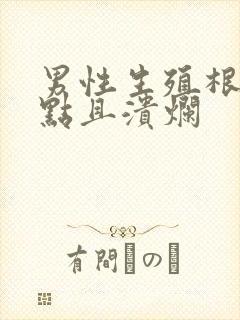 男性生殖根部红点且溃烂封面
