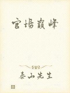 官场巅峰封面