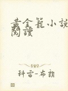 黄金笼小说免费阅读