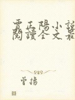 贾正阳小说免费阅读全文最新章节封面