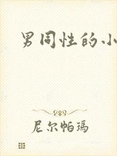 男同性的小说封面