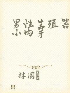 男性生殖器上的小肉芽