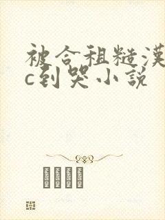 被合租糙汉室友c到哭小说