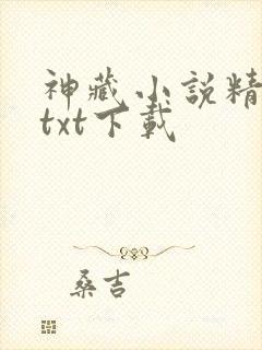 神藏小说精校版txt下载