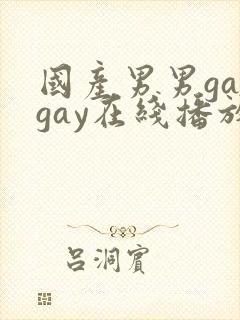 国产男男gaygay在线播放搜索