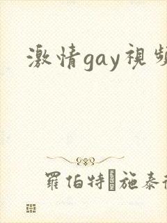 激情gay视频