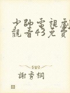 少帅电视剧全集观看43免费下载