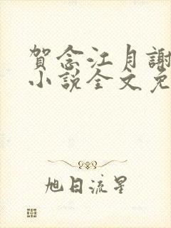 贺念江月谢泊年小说全文免费阅读笔趣阁