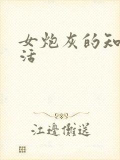 女炮灰的知青生活封面