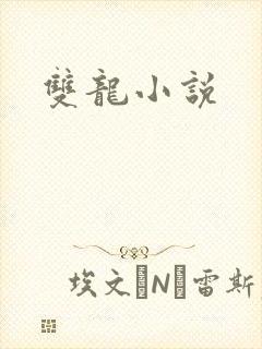 双龙小说