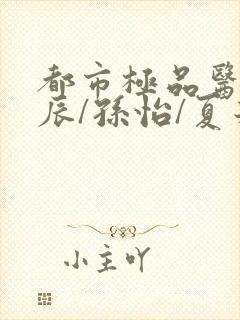 都市极品医神叶辰/孙怡/夏若雪