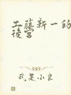 工藤新一的日本后宫