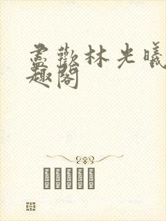 尽欢林光曦 笔趣阁