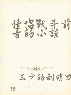 情侣战斗前适合看的小说封面