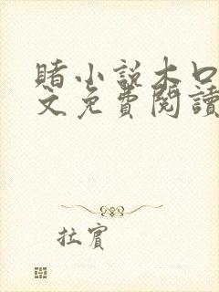 赌小说木口银全文免费阅读笔趣阁