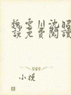 魏云川沈昭禾小说免费阅读笔趣阁