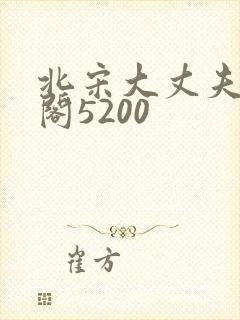 北宋大丈夫笔趣阁5200