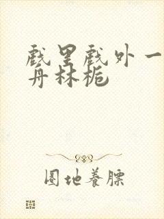 戏里戏外一叶孤舟林栀