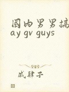 国内男男搞基gay gv guys封面