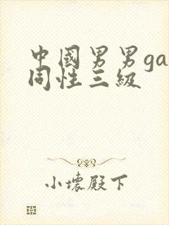 中国男男gay同性三级