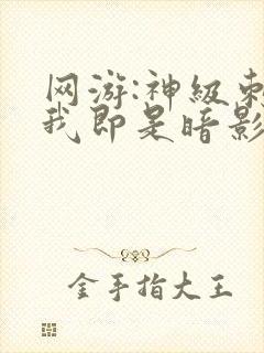 网游:神级刺客我即是暗影