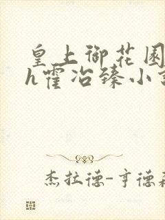 皇上御花园hlh霍冶臻小说