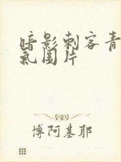 暗影刺客青凤帅气图片