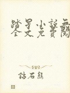 踏星小说无弹窗全文免费阅读