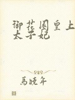 御花园皇上撞着太子妃