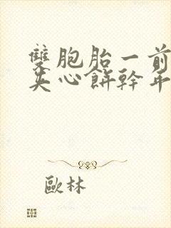 双胞胎一前一后夹心饼干年下