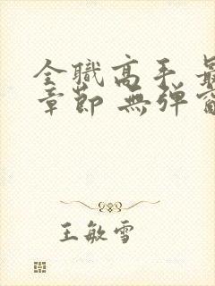 全职高手 最新章节 无弹窗