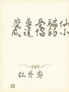 魔尊受骗仙尊攻成道侣的小说