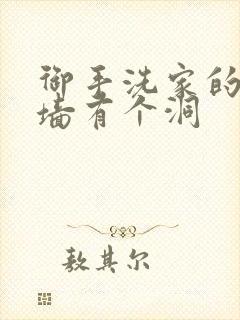 御手洗家的故事墙有个洞