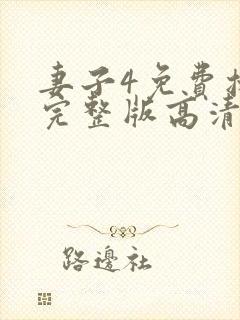 妻子4免费播放完整版高清韩剧