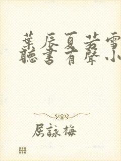 叶辰夏若雪孙怡听书有声小说封面