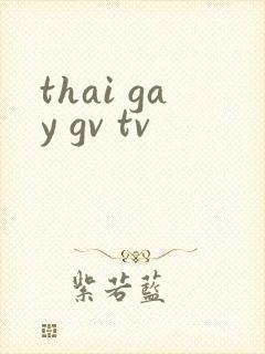 thai gay gv tv