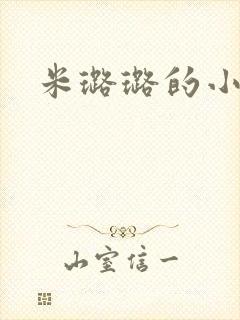 米璐璐的小说