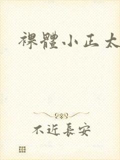 裸体小正太封面